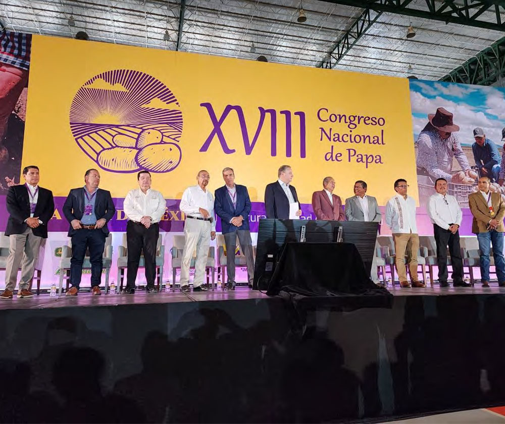 Agricultor en campo de papa