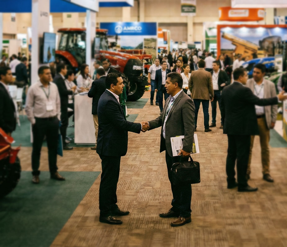 Networking Estratégico